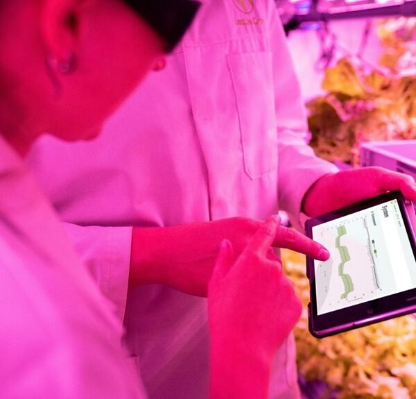 Maximize Your Growth 621681063 Digital Tools